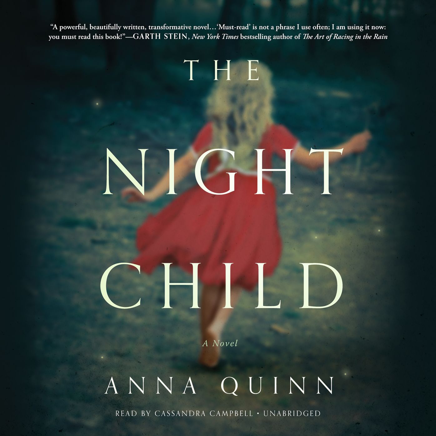 The Night Child: A Novel
