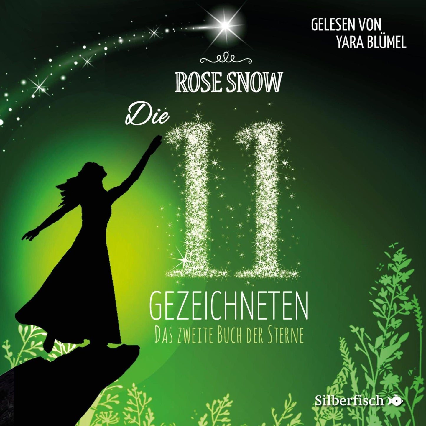 Das zweite Buch der Sterne