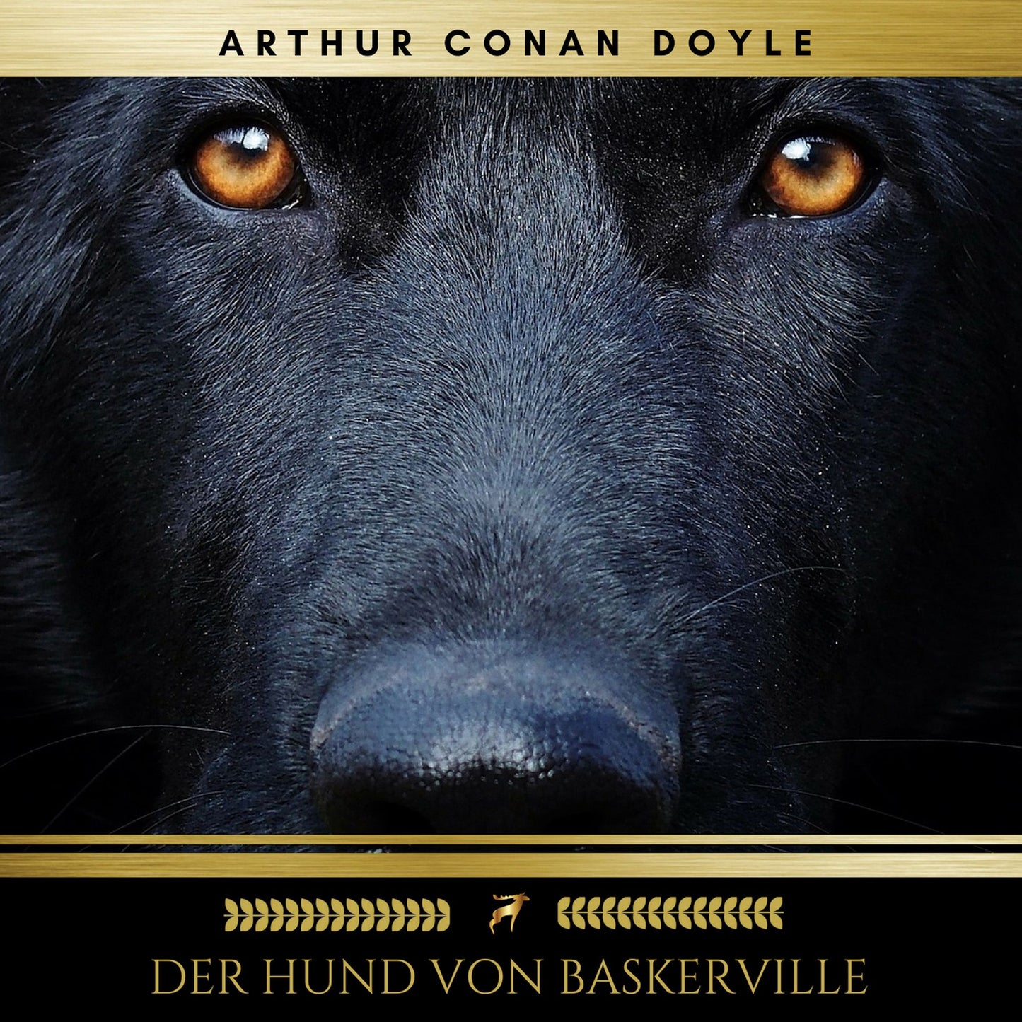 Der Hund von Baskerville (Abridged)