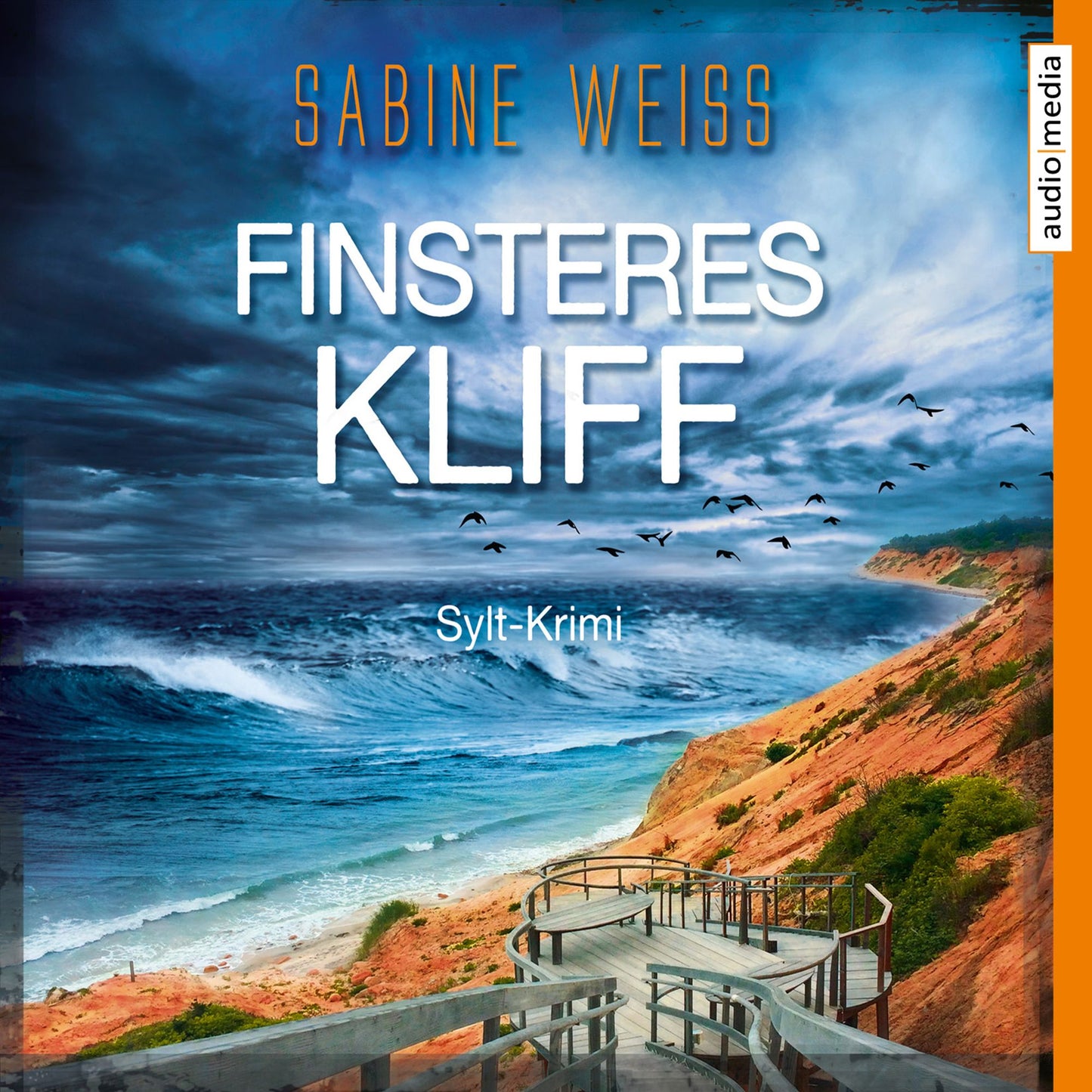 Finsteres Kliff (Abridged)