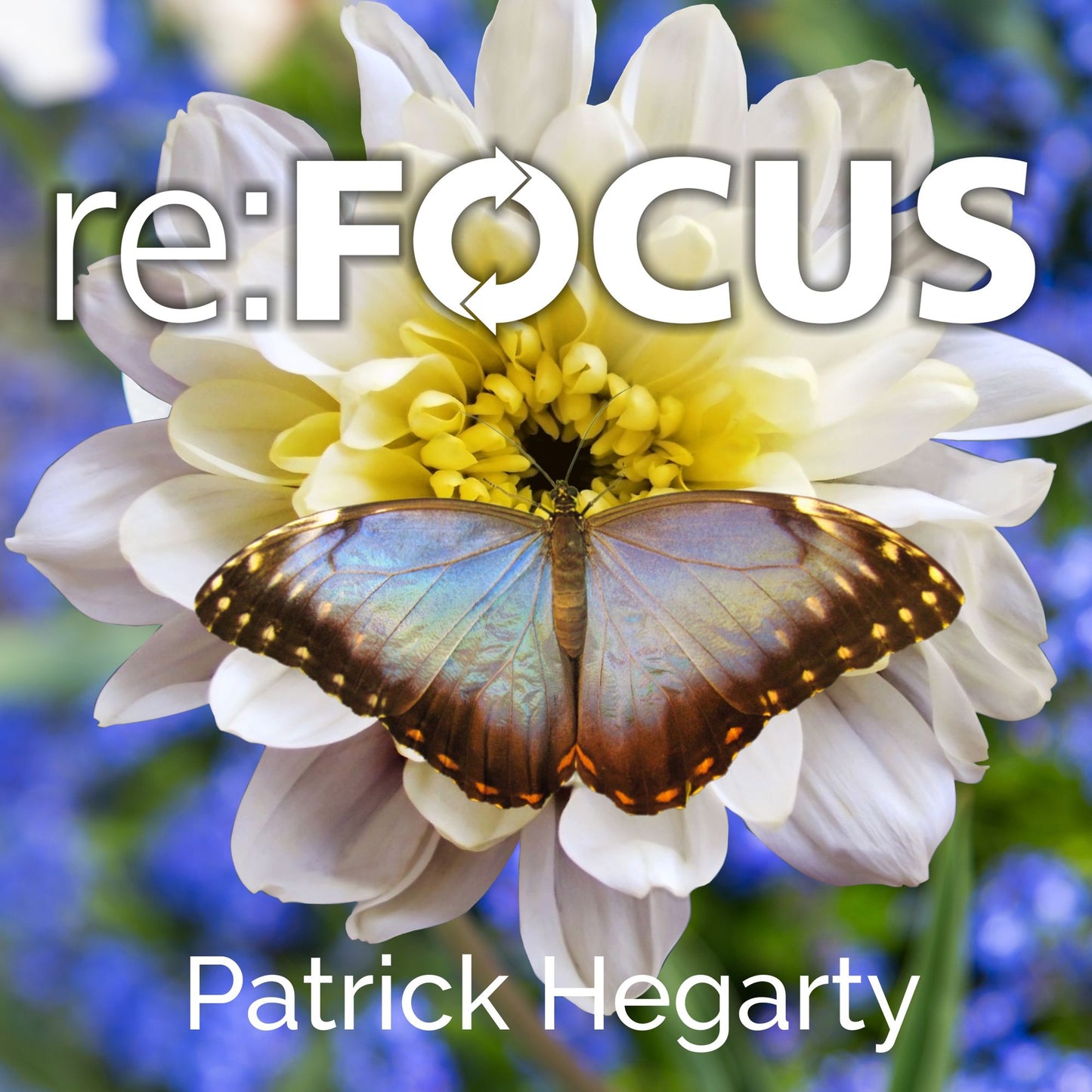 re: FOCUS