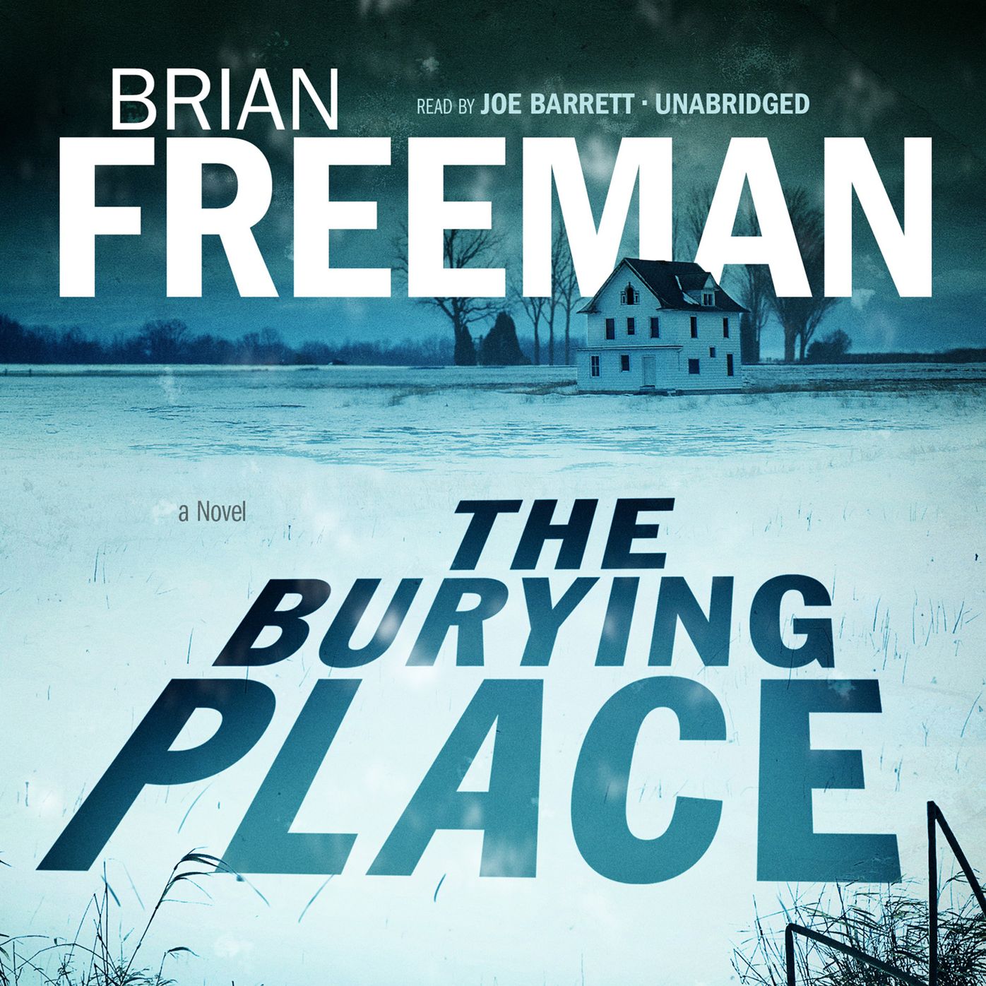 The Burying Place: A Novel