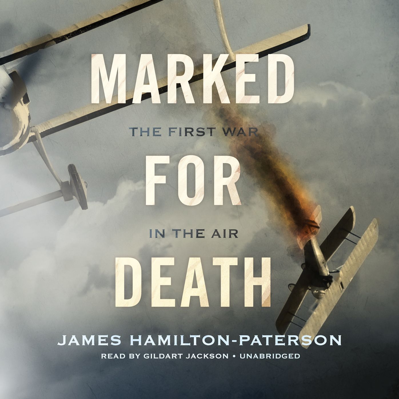 Marked for Death: A History of the First War in the Air