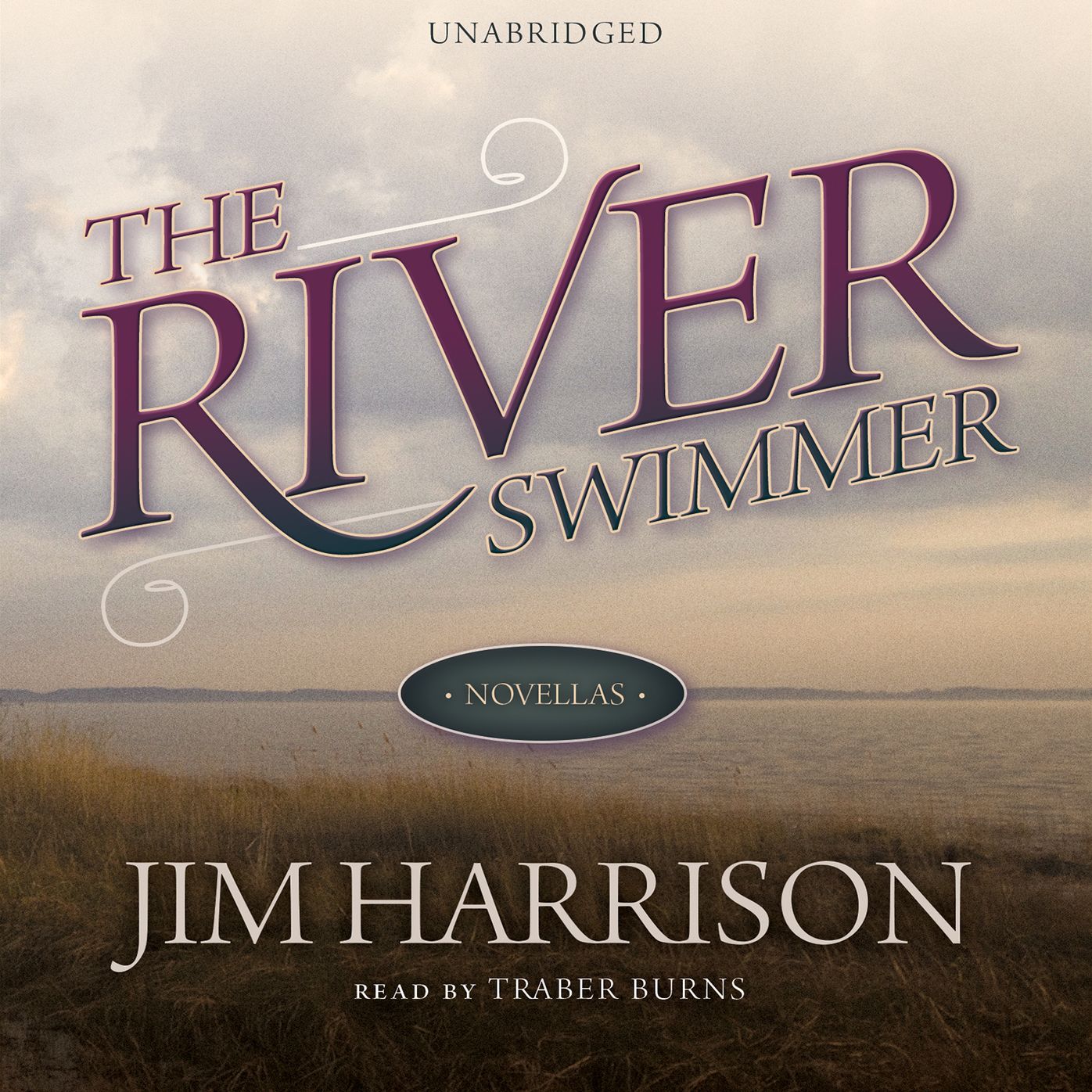 The River Swimmer: Novellas