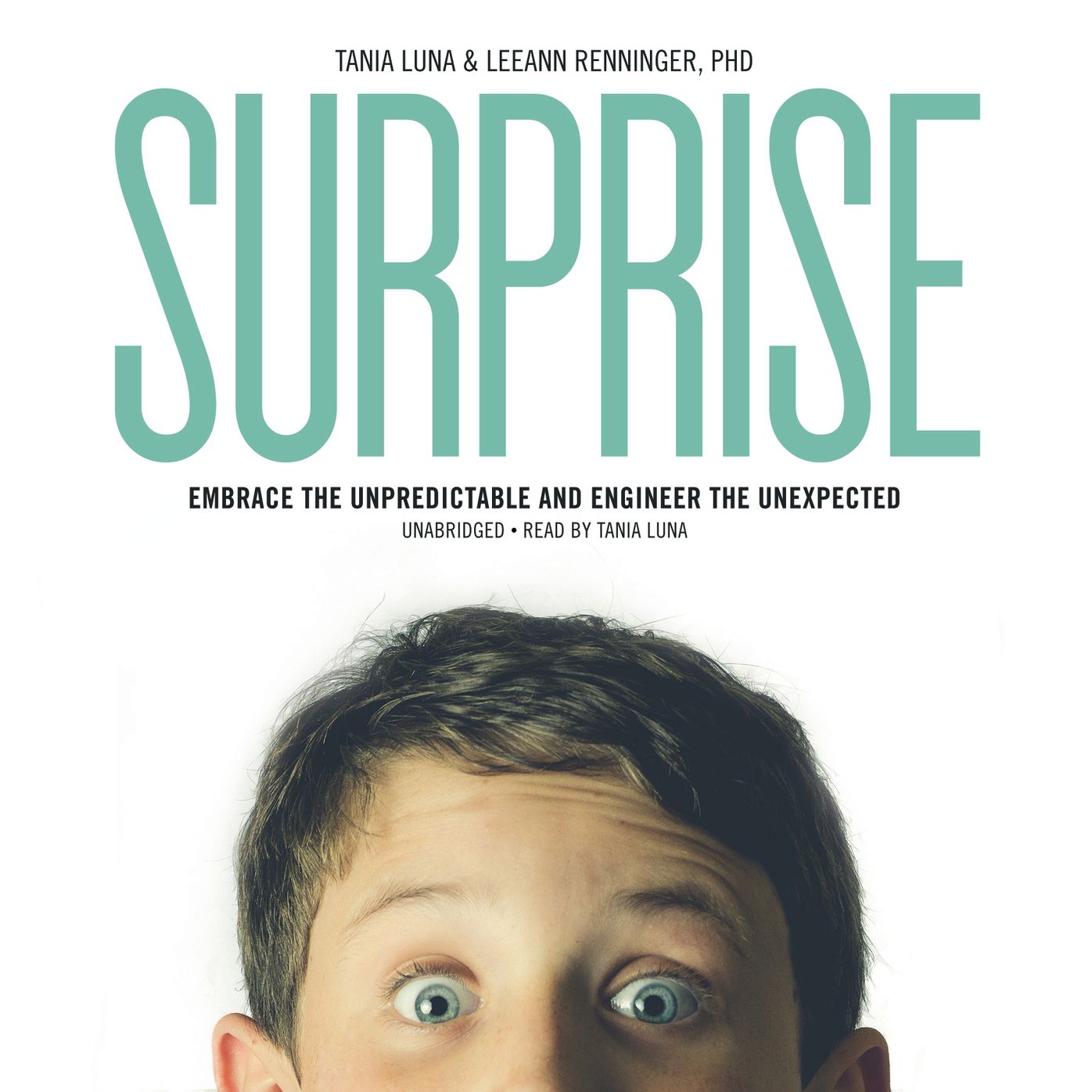 Surprise!: Embrace the Unpredictable and Engineer the Unexpected