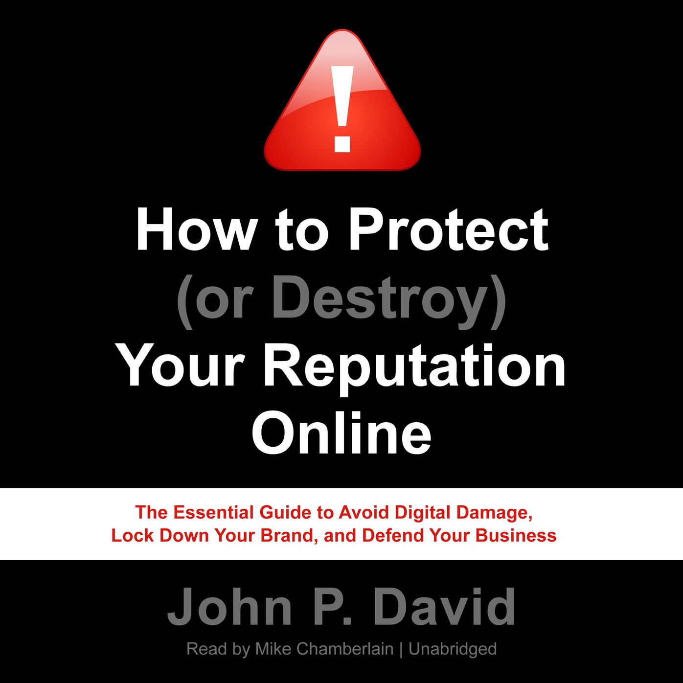 How to Protect (or Destroy) Your Reputation Online: The Essential Guide to Avoid Digital Damage, Lock Down Your Brand, and Defend Your Business