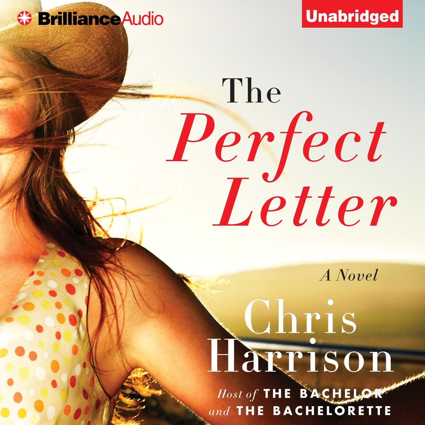 The Perfect Letter: A Novel