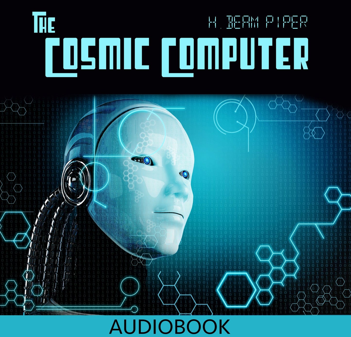 The Cosmic Computer