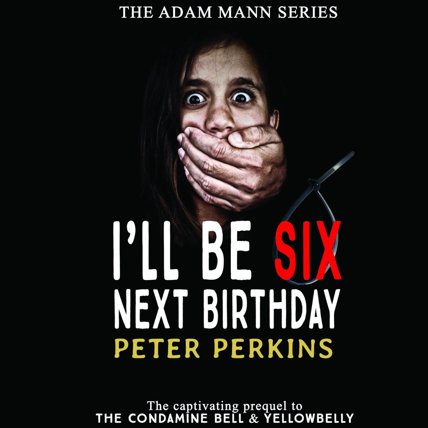 I'll Be Six Next Birthday: The Adam Mann Series