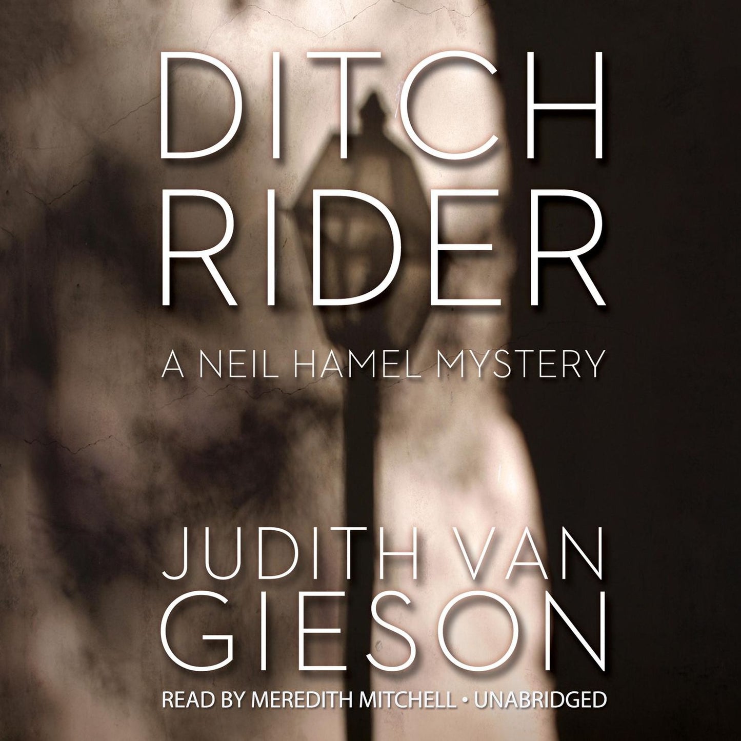 Ditch Rider: A Neil Hamel Mystery