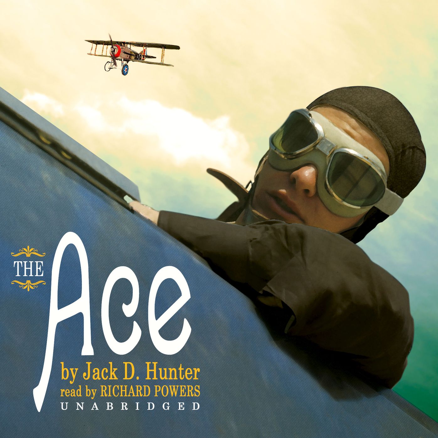 The Ace: A Novel