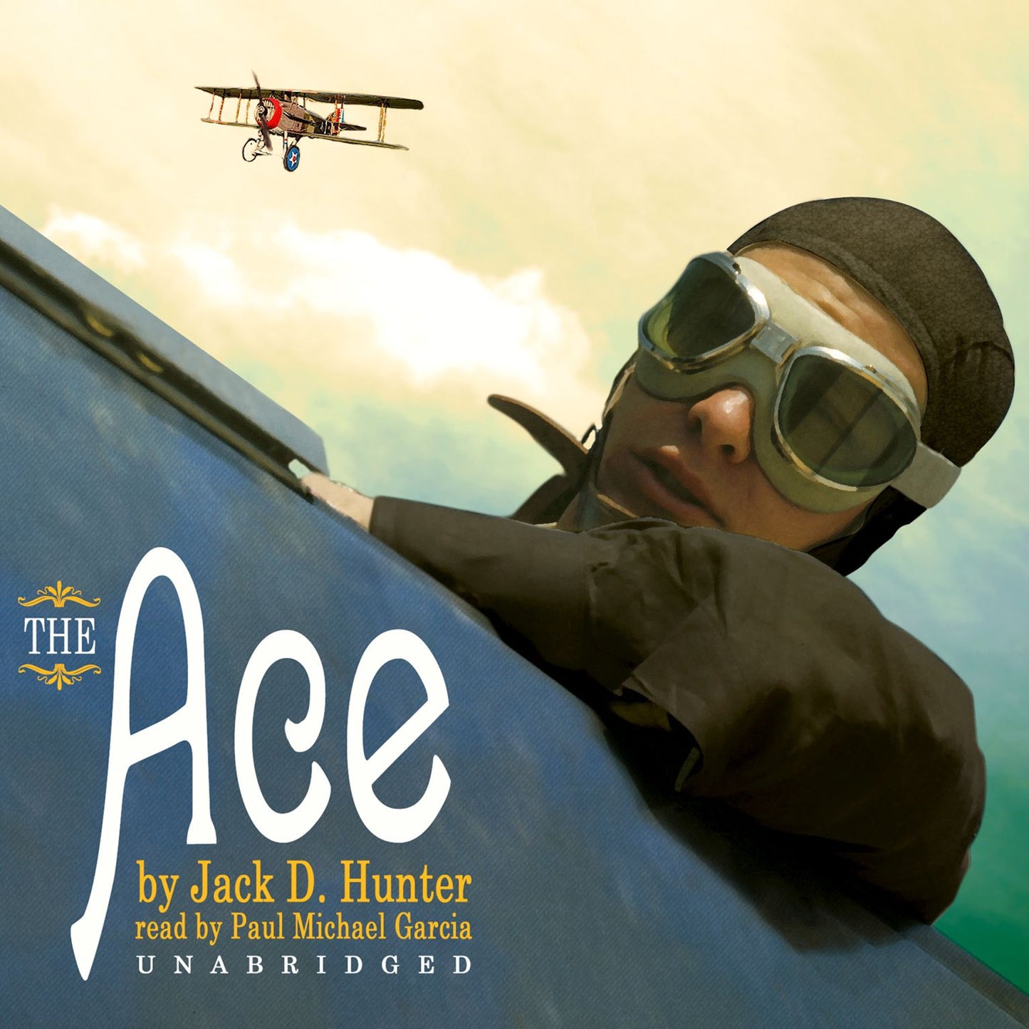 The Ace: A Novel