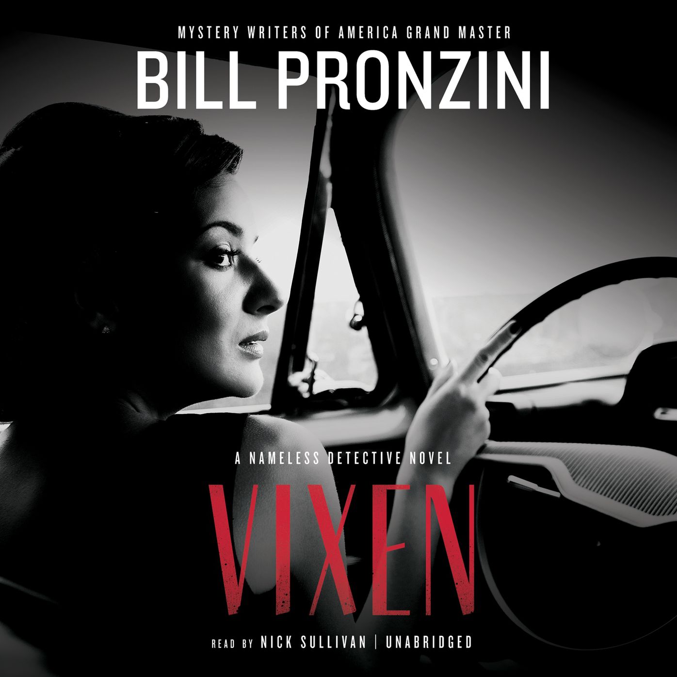 Vixen: A Nameless Detective Novel