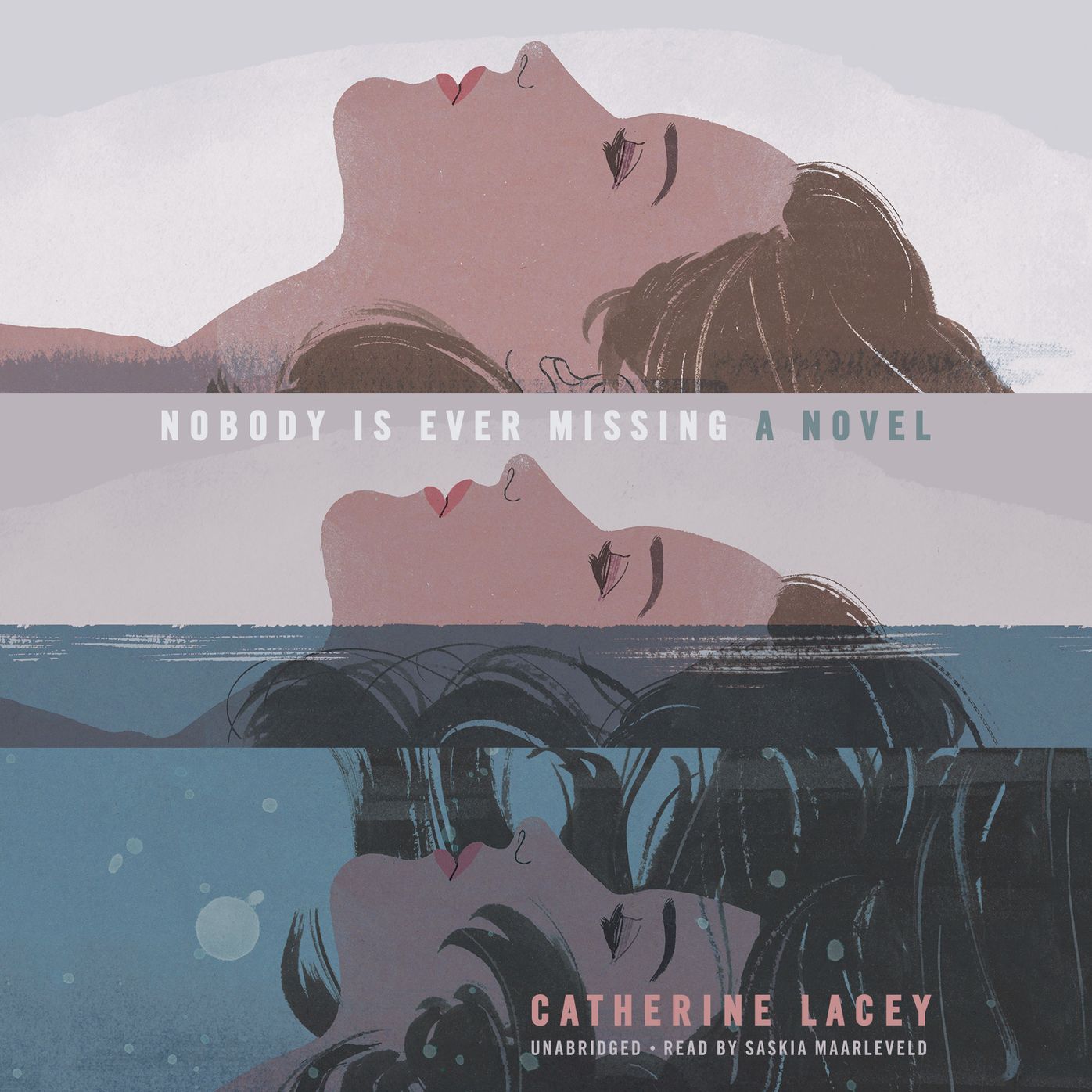 Nobody Is Ever Missing: A Novel