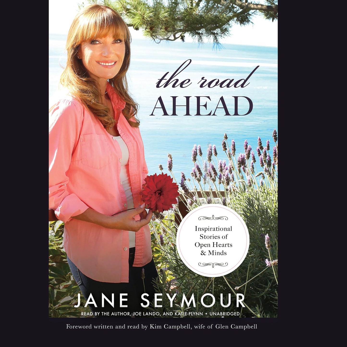Road Ahead, The: Inspirational Stories of Open Hearts and Minds