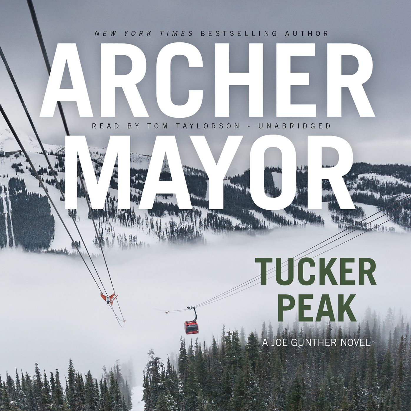 Tucker Peak: A Joe Gunther Novel
