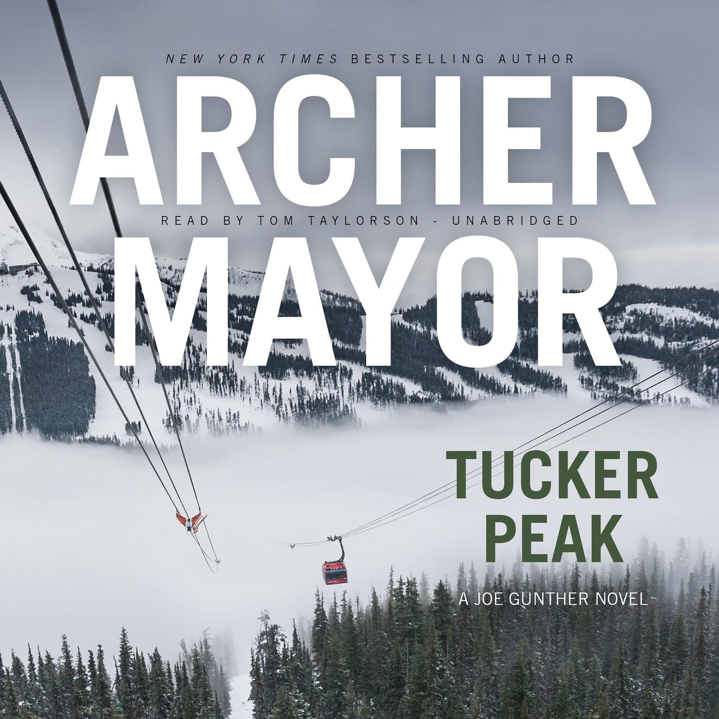 Tucker Peak: A Joe Gunther Novel