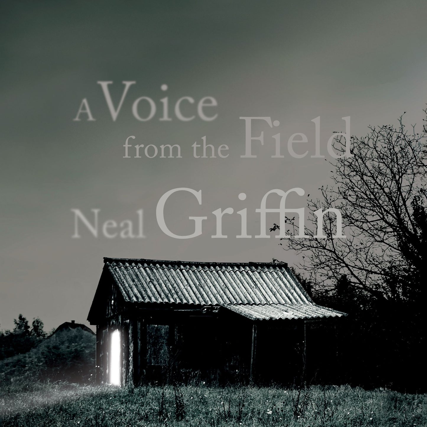 A Voice from the Field