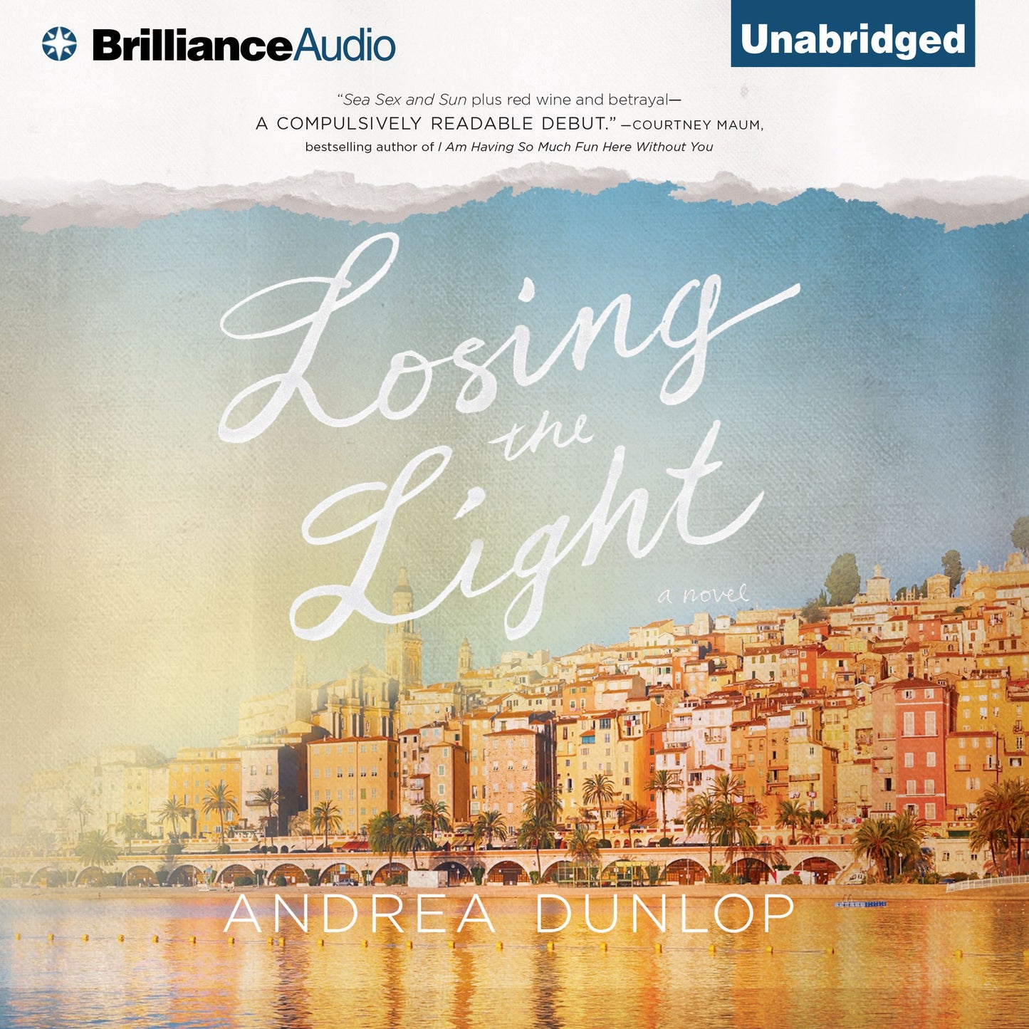 Losing the Light: A Novel