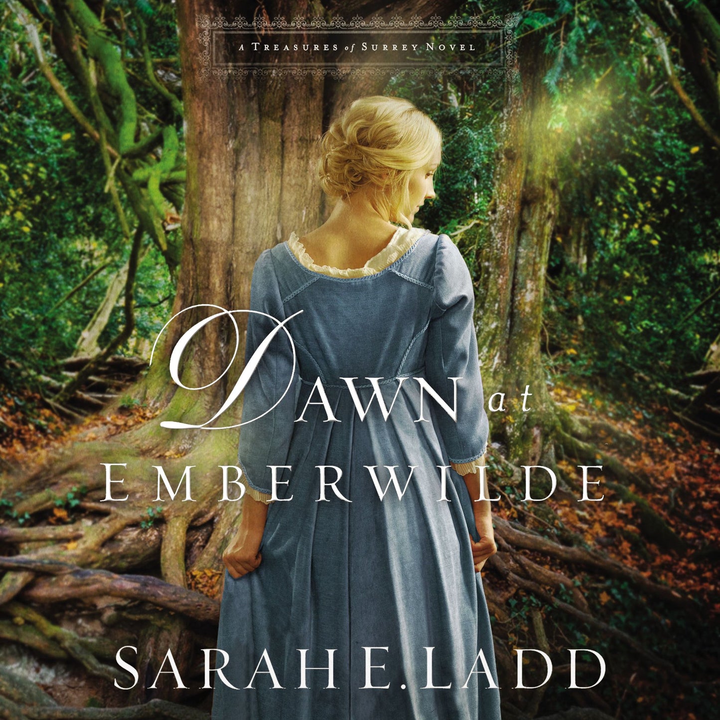 Dawn at Emberwilde: A Treasures of Surrey Novel