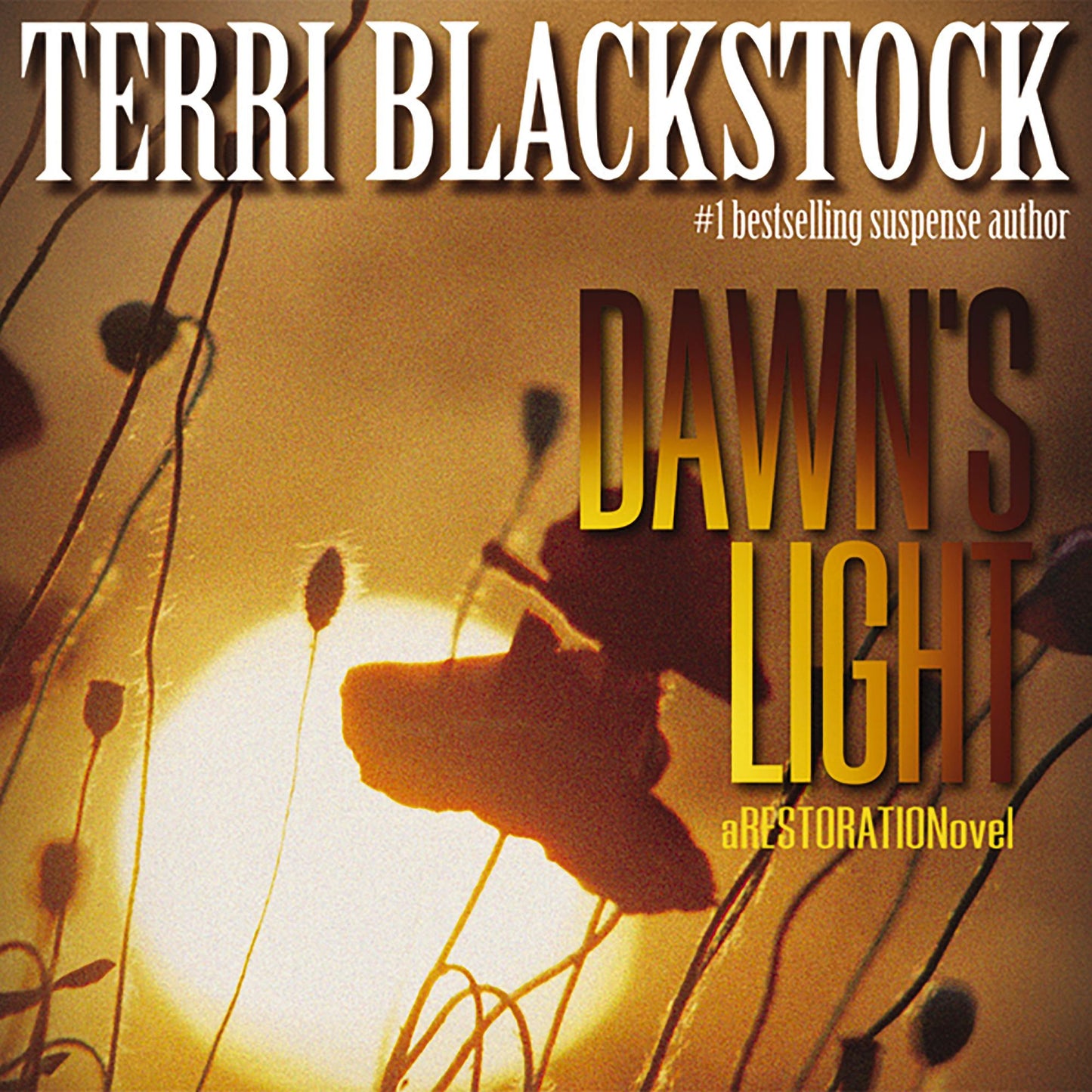 Dawn's Light