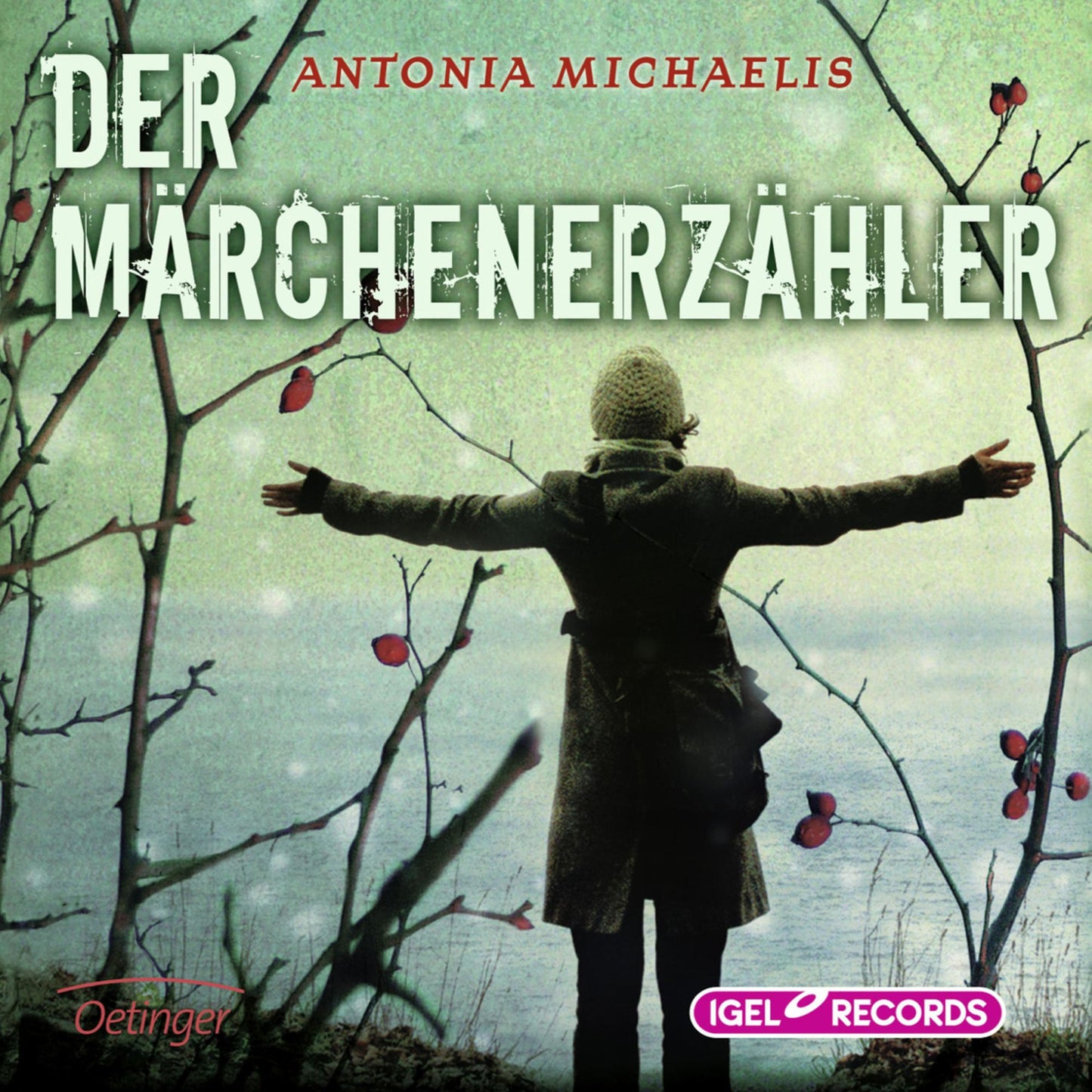 Der Märchenerzähler (Abridged)