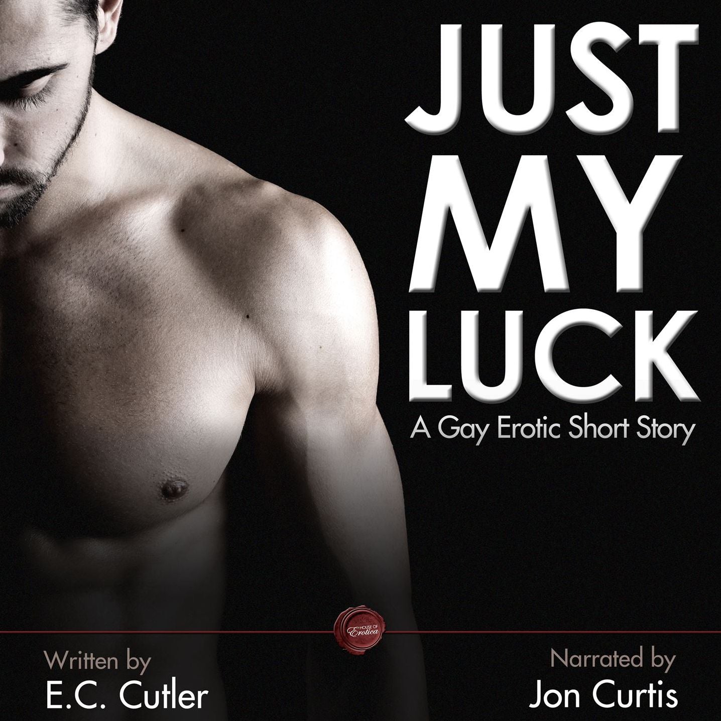 Just My Luck: A Gay Erotic Short Story