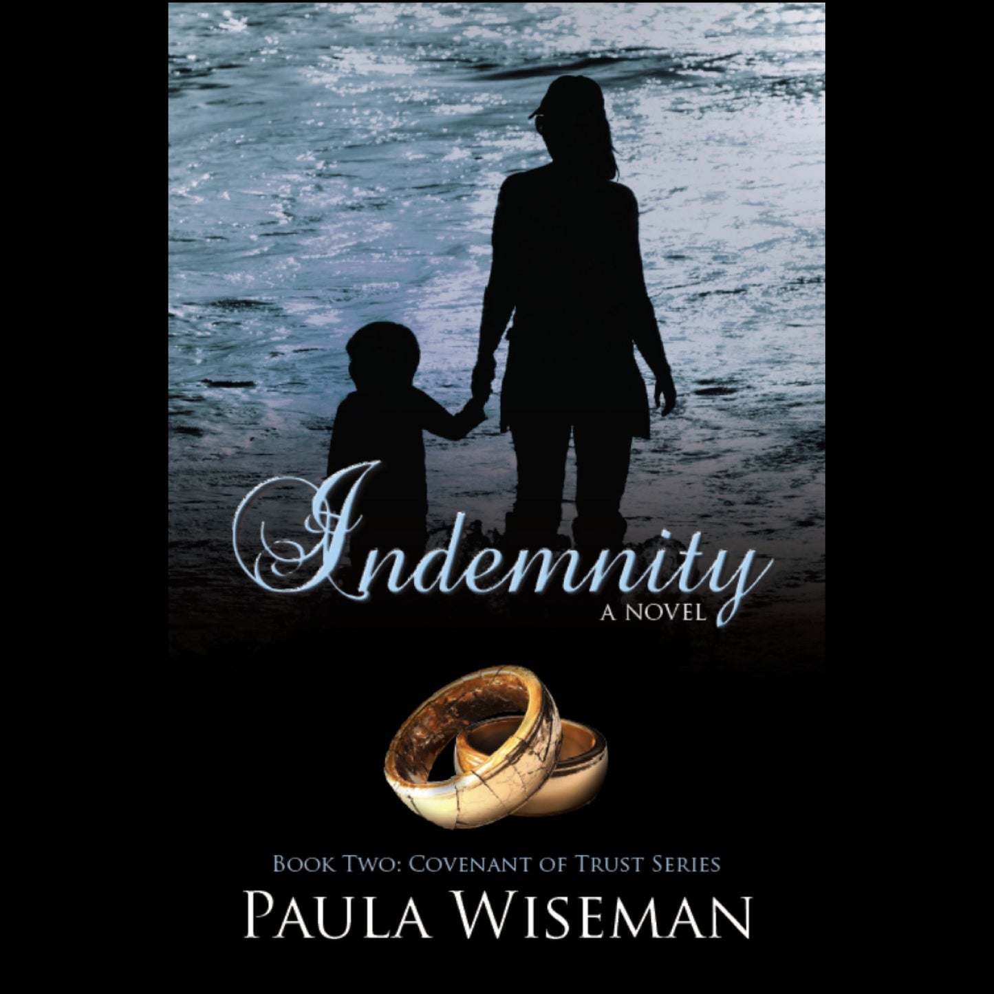 Indemnity