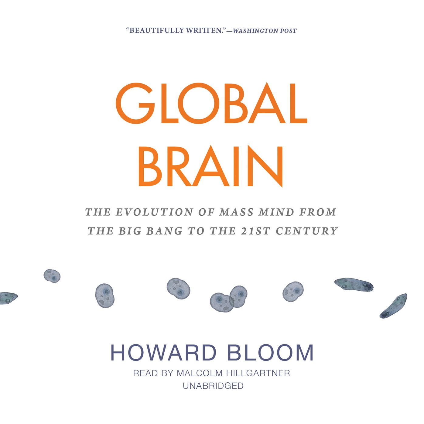 Global Brain: The Evolution of Mass Mind from the Big Bang to the 21st Century