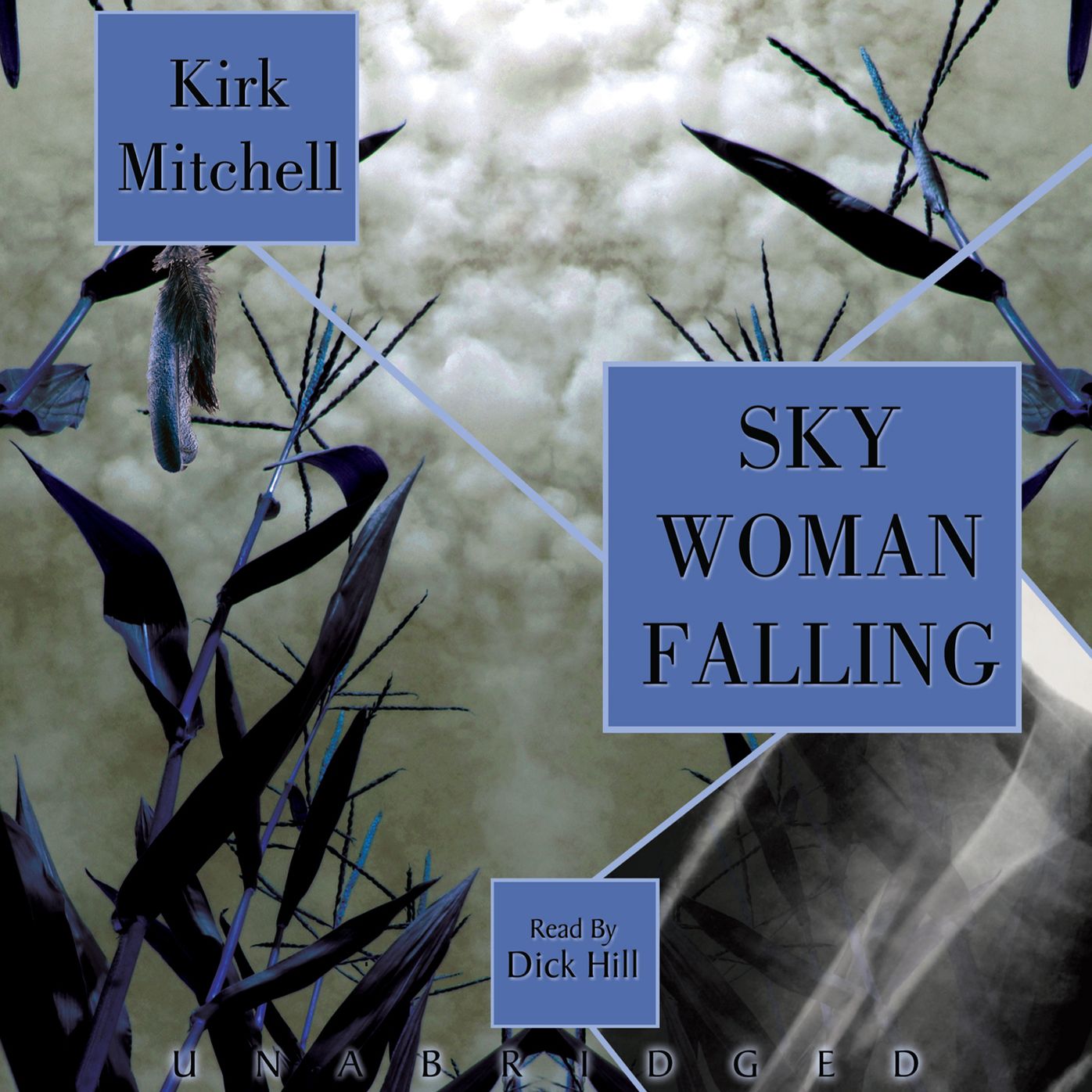 Sky Woman Falling: An Emmett Parker and Anna Turnipseed Mystery
