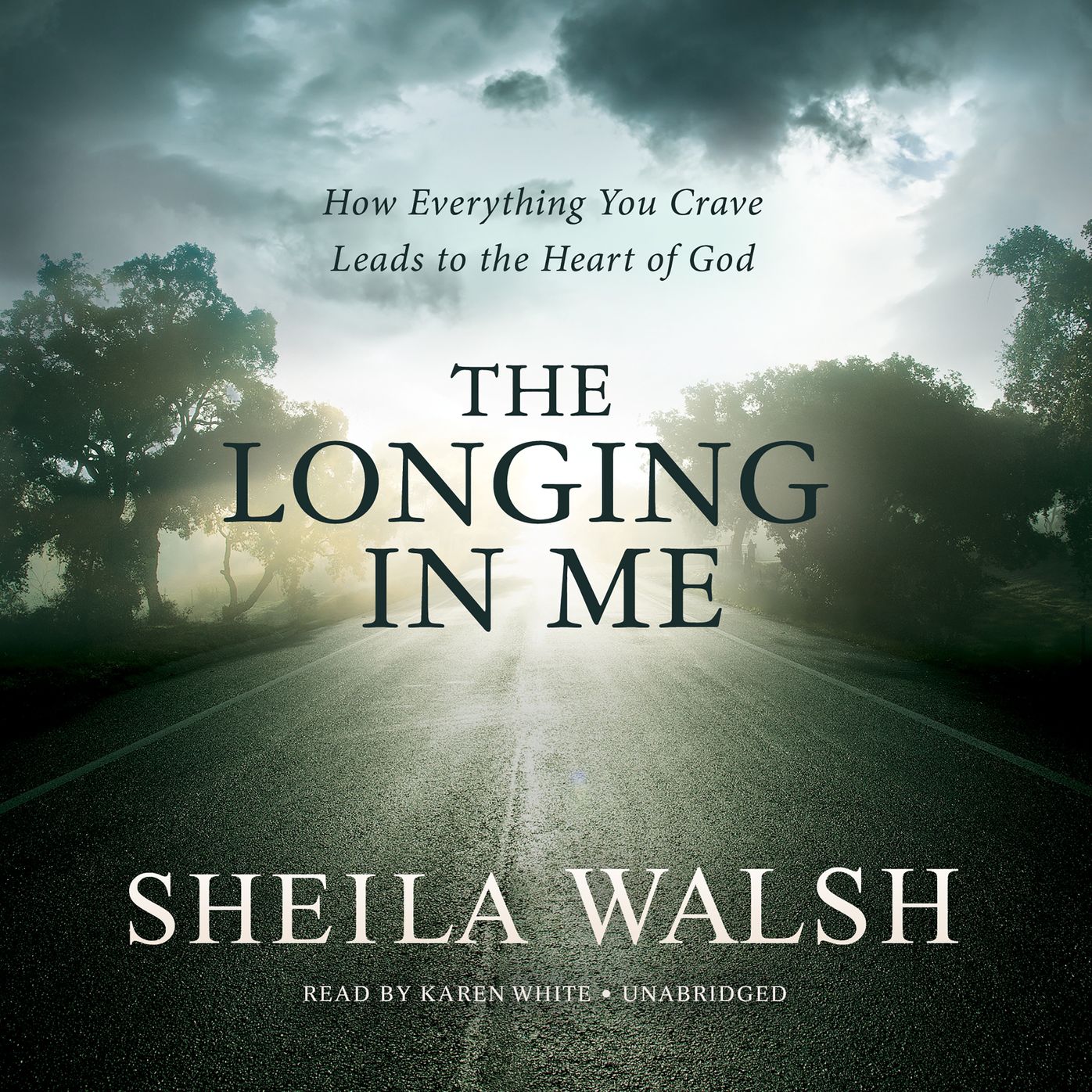 The Longing in Me: How Everything You Crave Leads to the Heart of God