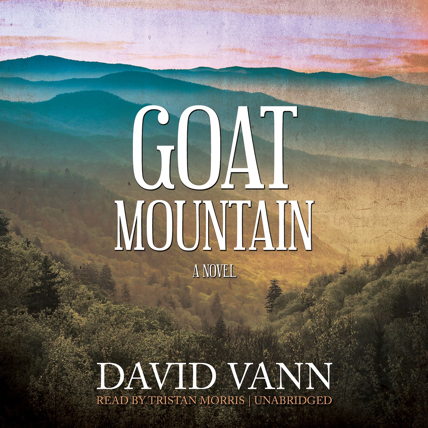 Goat Mountain: A Novel