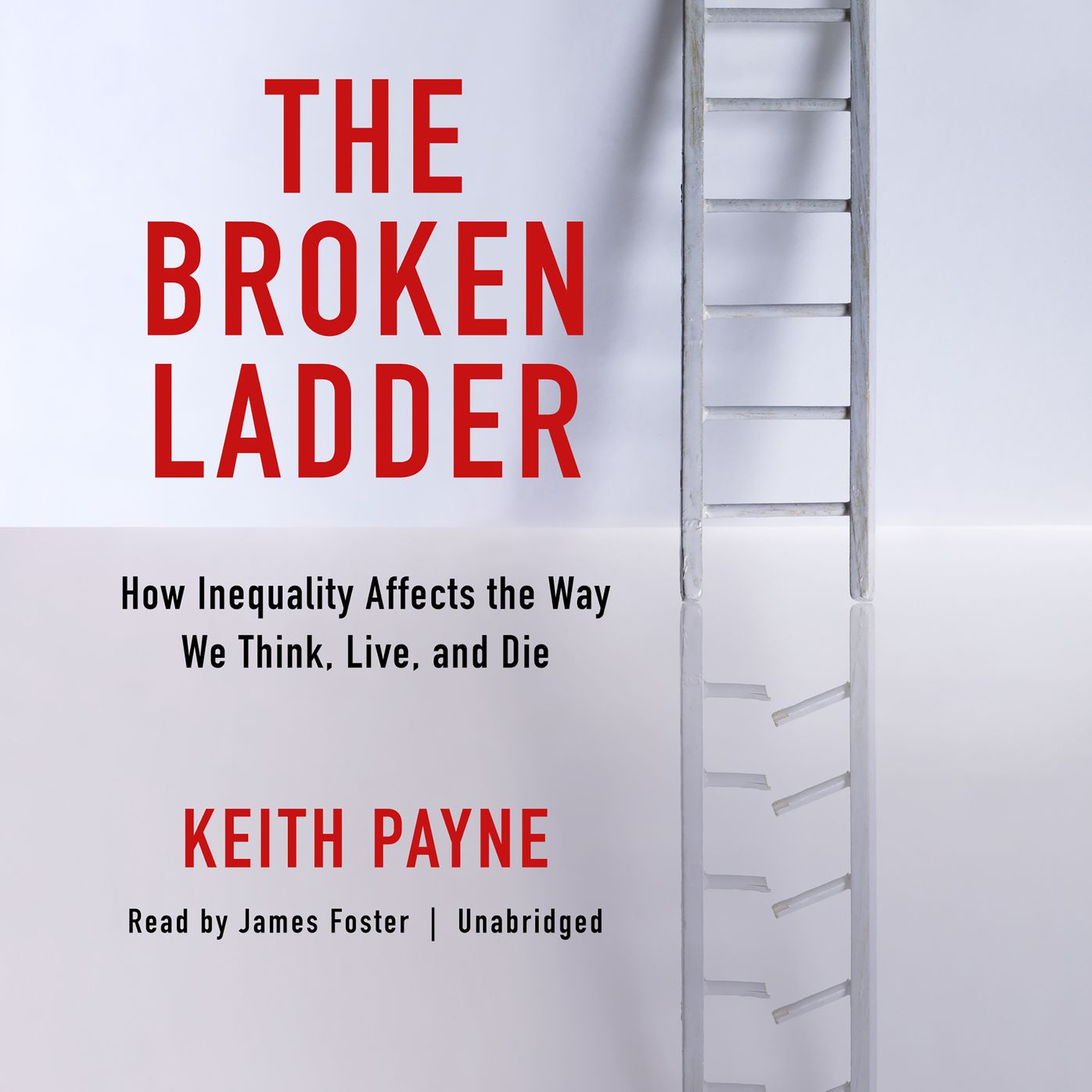 The Broken Ladder: How Inequality Changes the Way We Think, Live, and Die