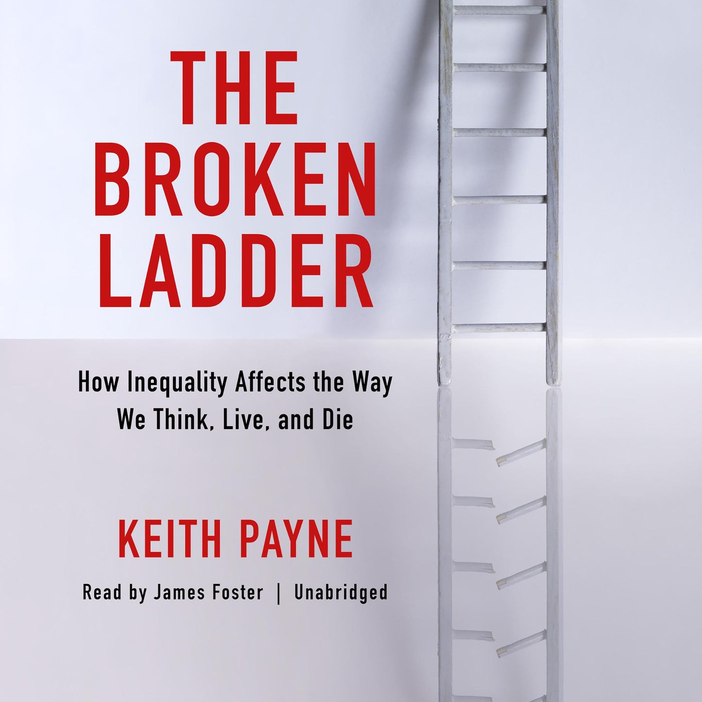 The Broken Ladder: How Inequality Changes the Way We Think, Live, and Die
