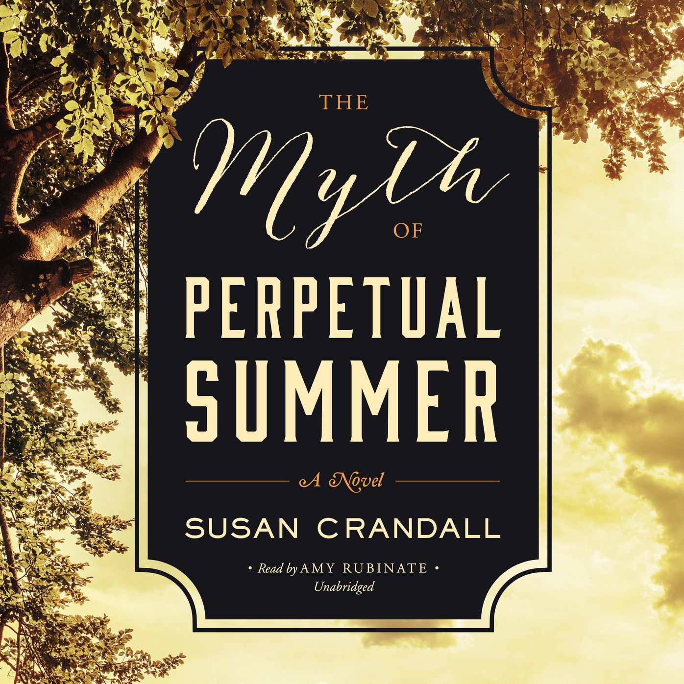 Myth of Perpetual Summer, The: A Novel