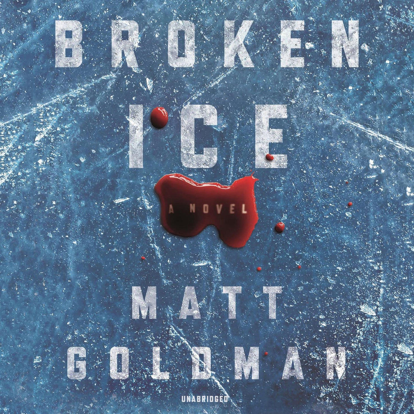 Broken Ice: A Novel
