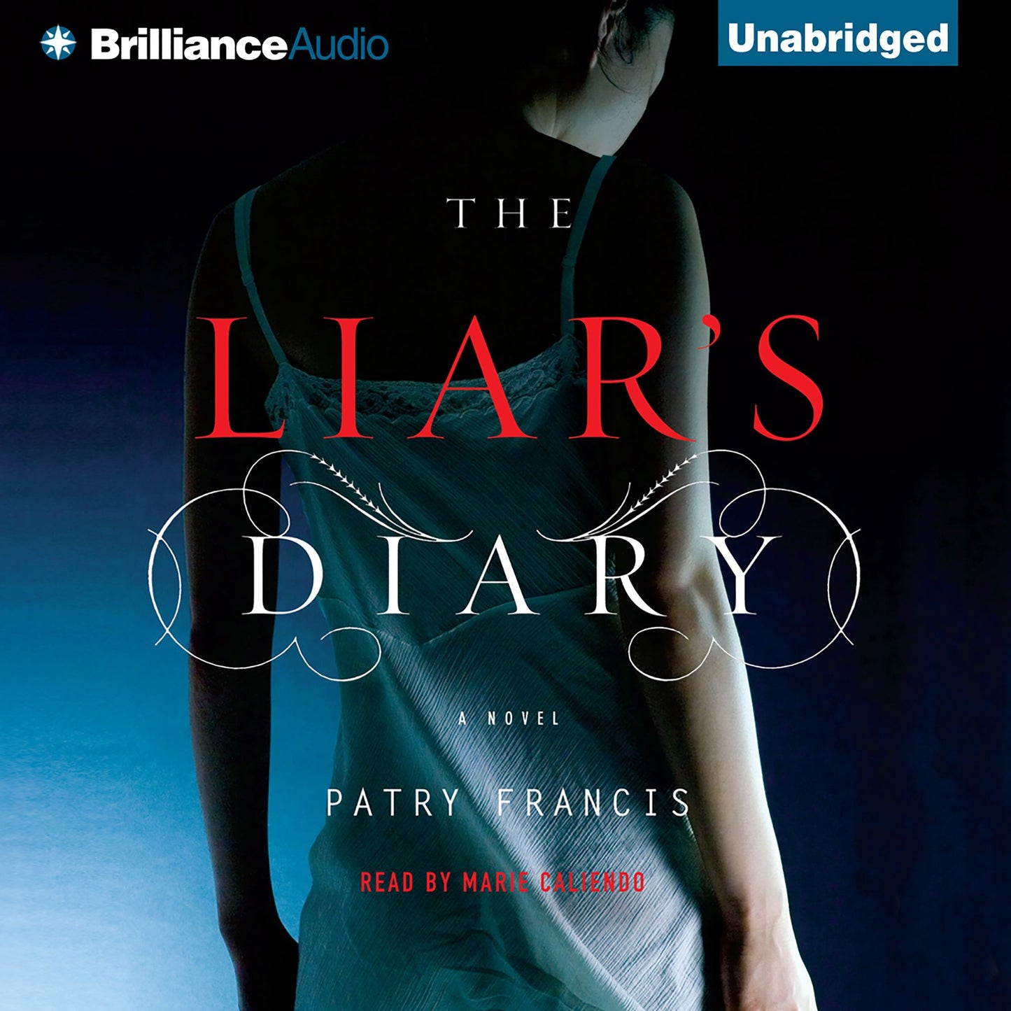 The Liar's Diary: A Novel