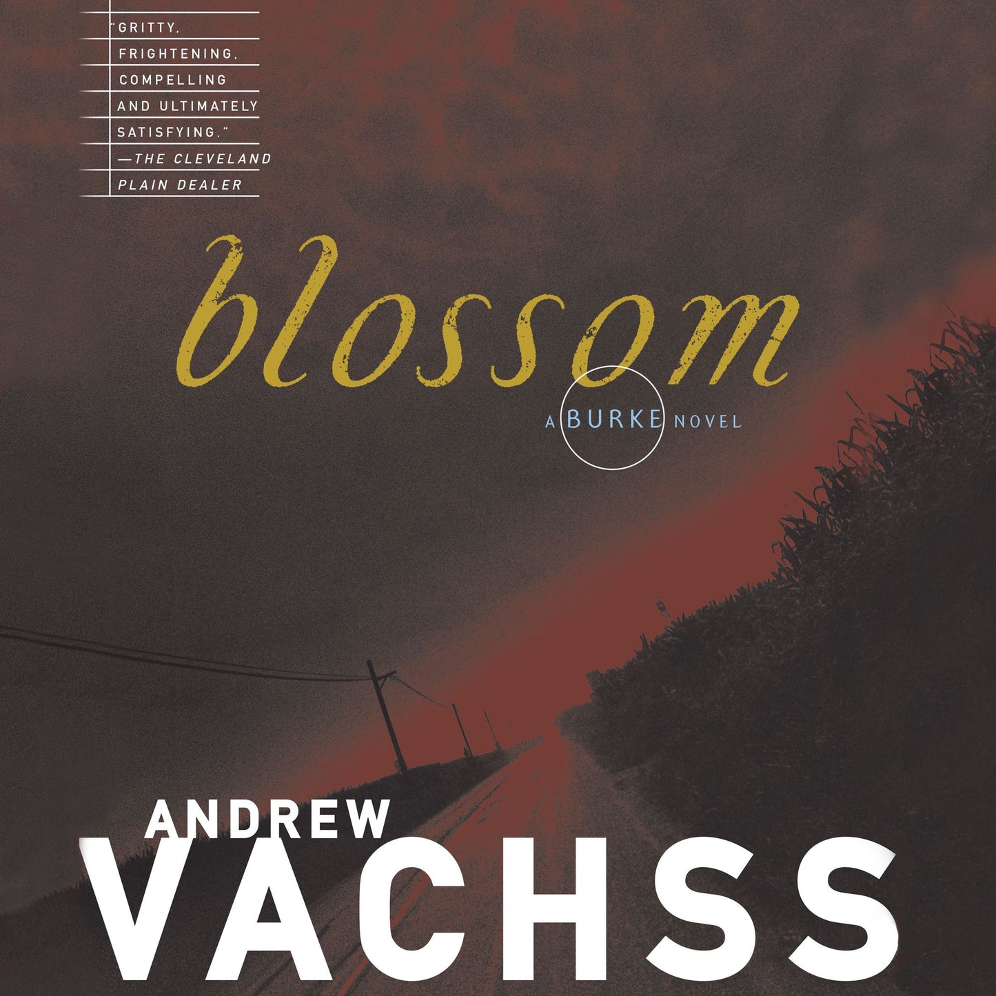 Blossom