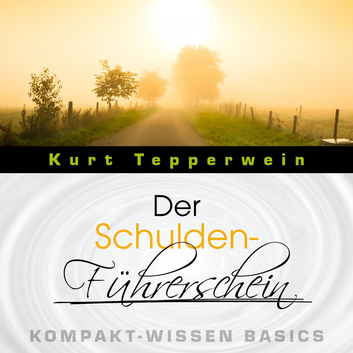 Der Schulden-Führerschein - Kompakt-Wissen Basics
