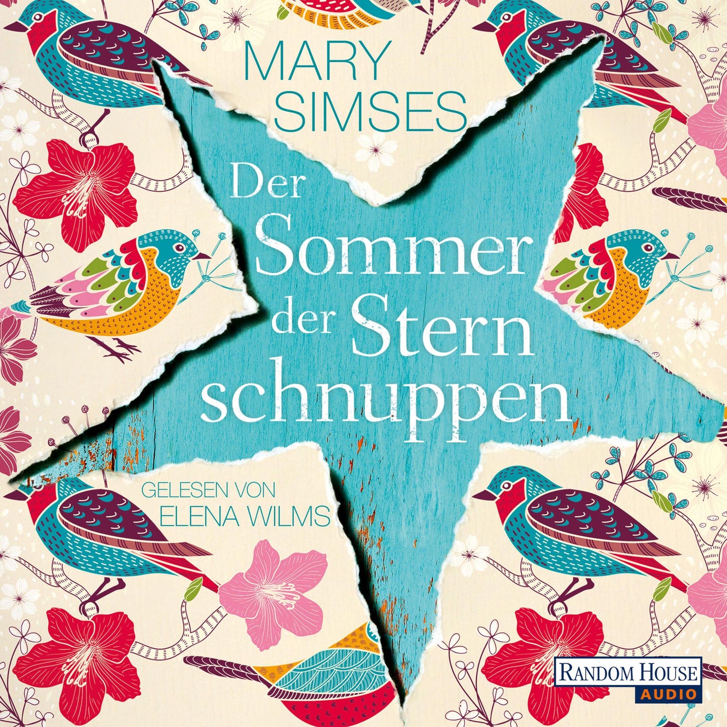 Der Sommer der Sternschnuppen (Abridged)