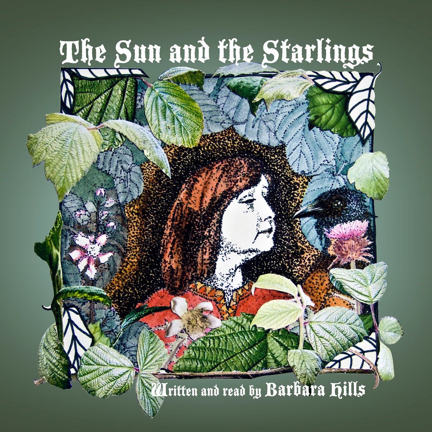 The Sun and the Starlings
