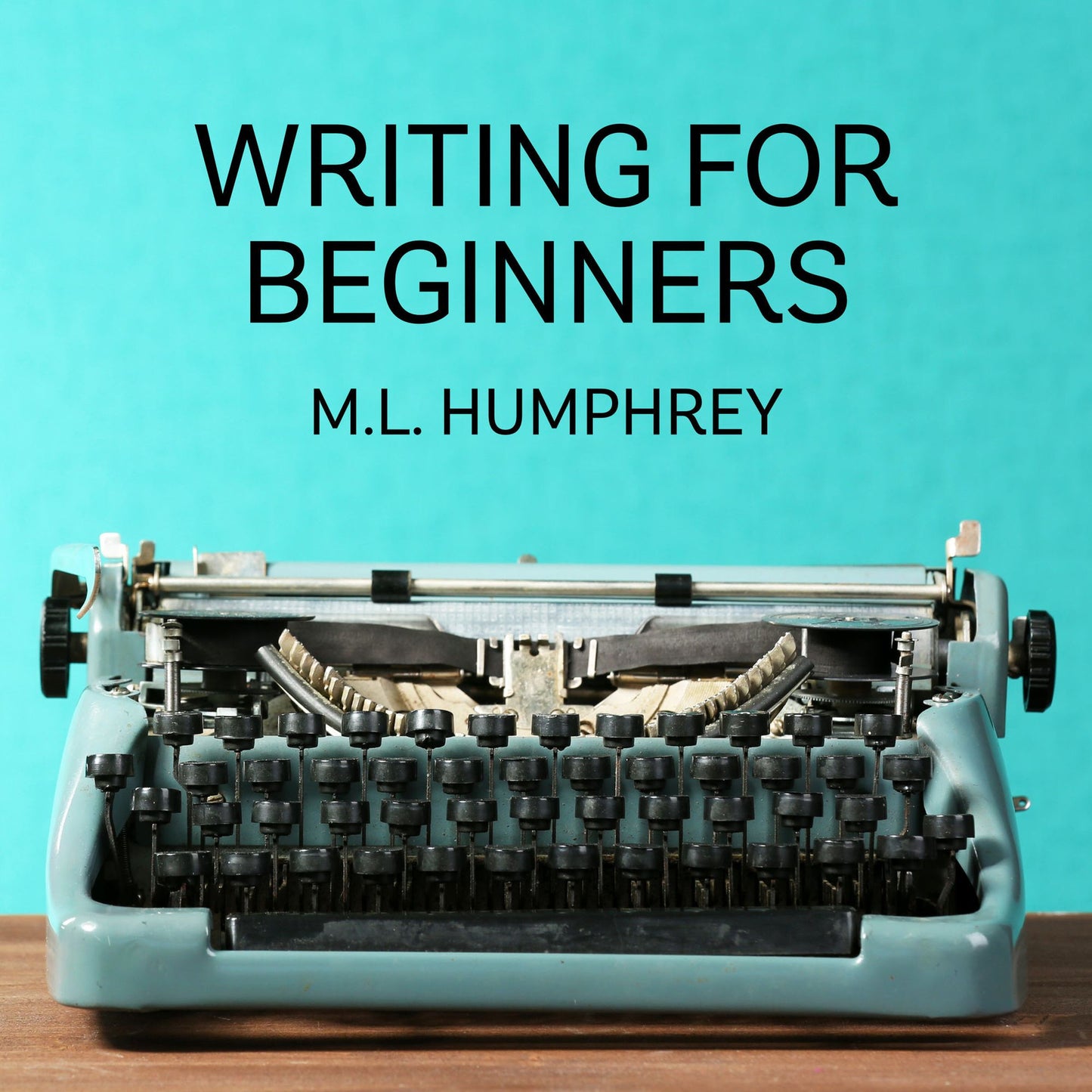 The Beginning Writer's Guide to What You Should Know