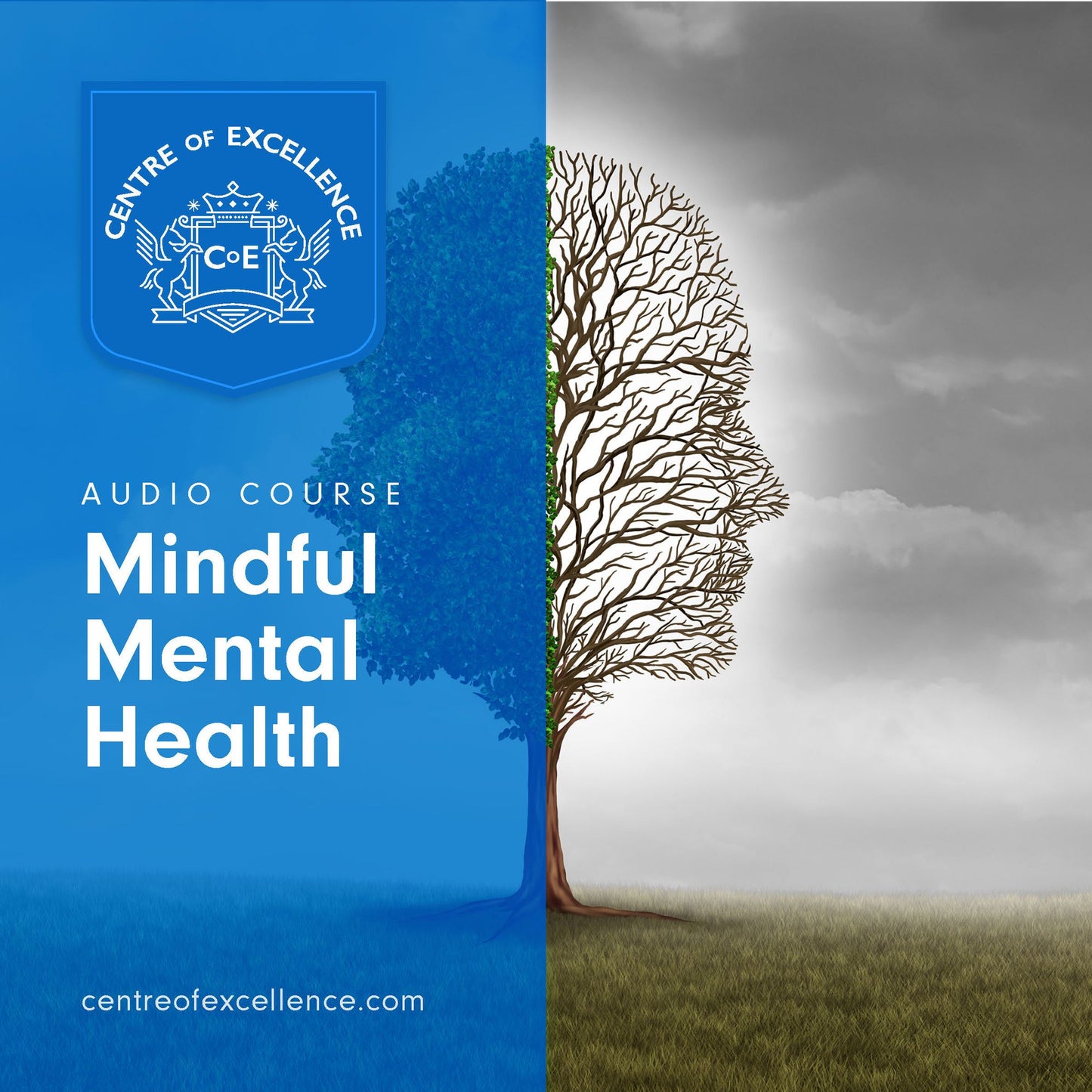 Mindful Mental Health: Audio Course