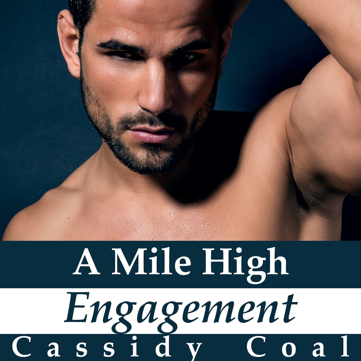 A Mile High Engagement