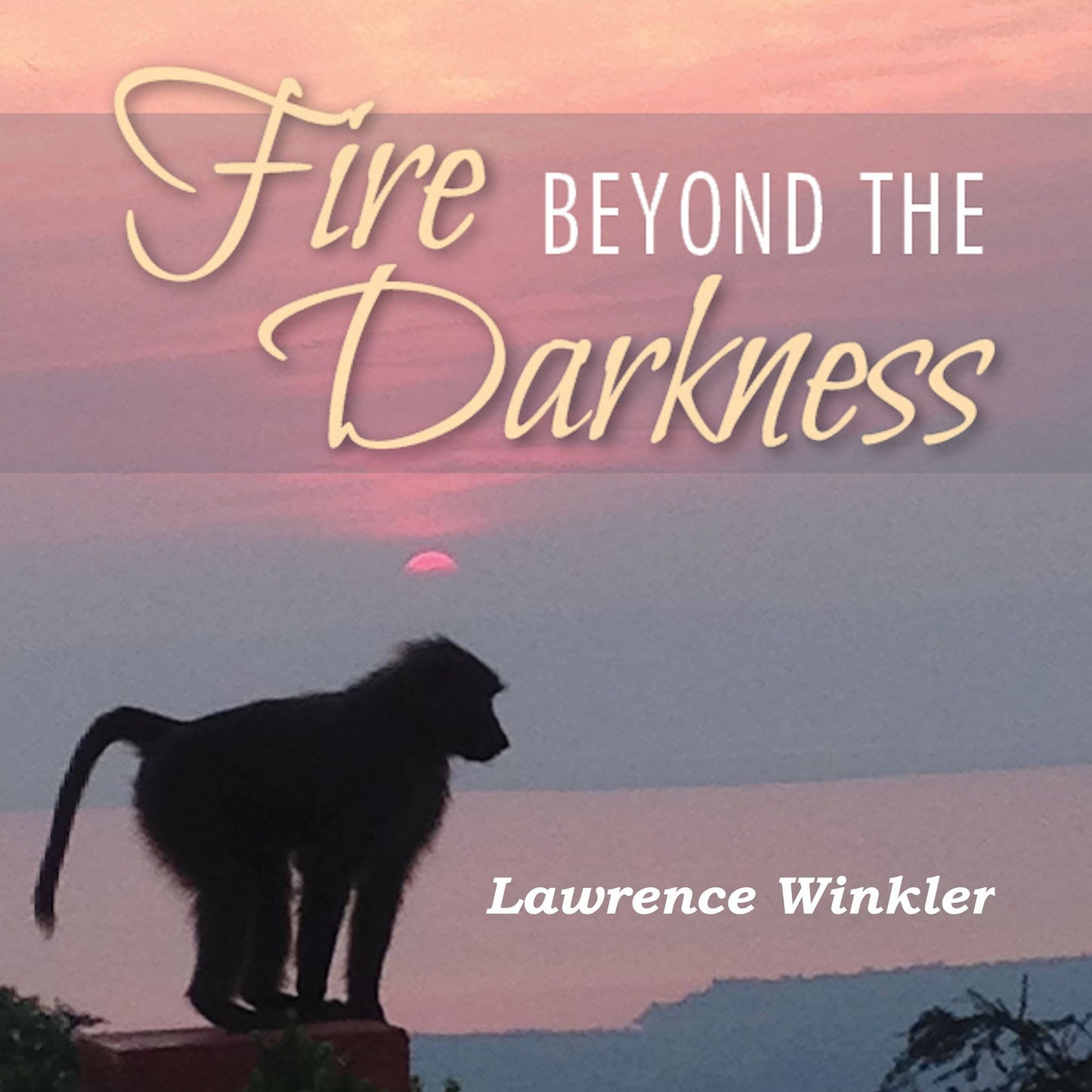 Fire Beyond the Darkness: A Metaphysical Journey