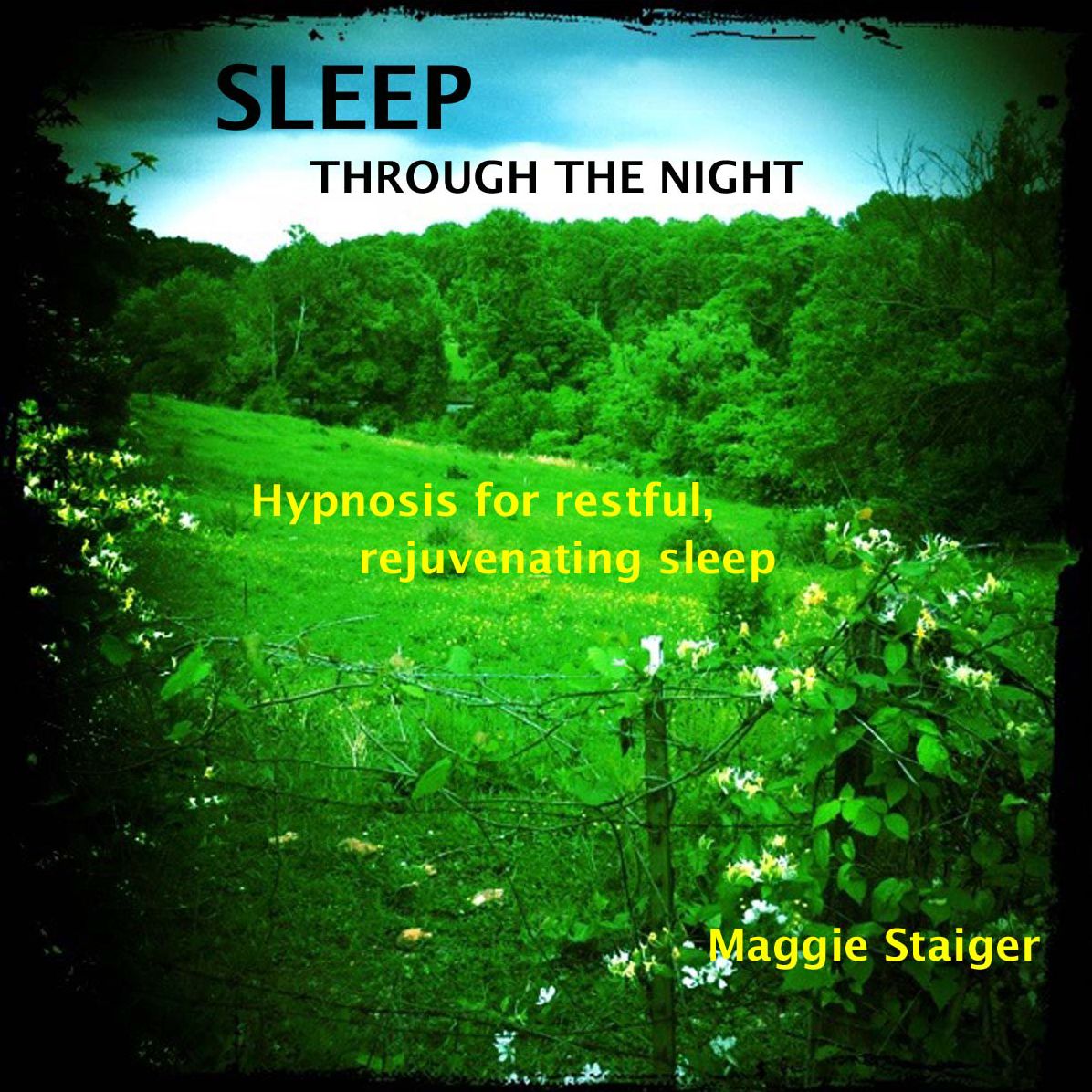 Sleep Through The Night: Hypnosis For Restful, Rejuvenating Sleep