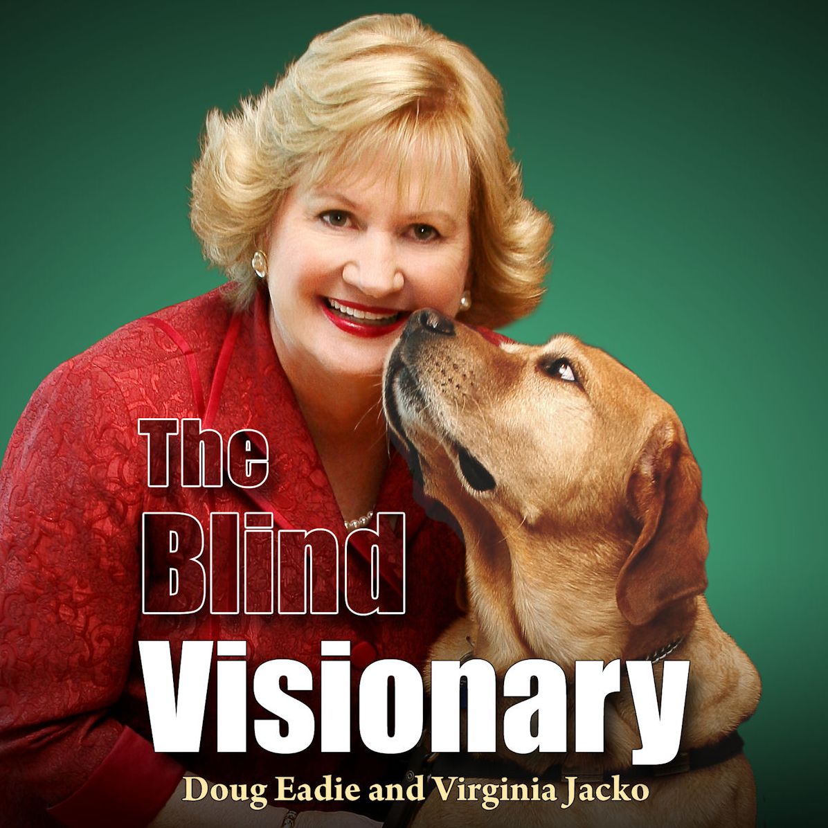 The Blind Visionary: Practical Lessons For Meeting Challenges On The Way To A More Fulfilling Life And Career (Abridged)