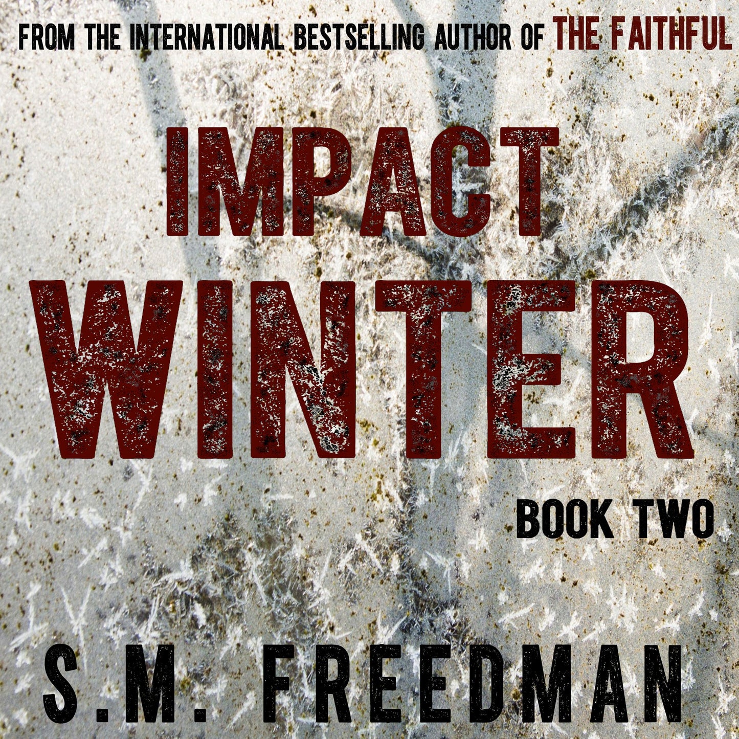 Impact Winter: The Faithful Series: Book Two