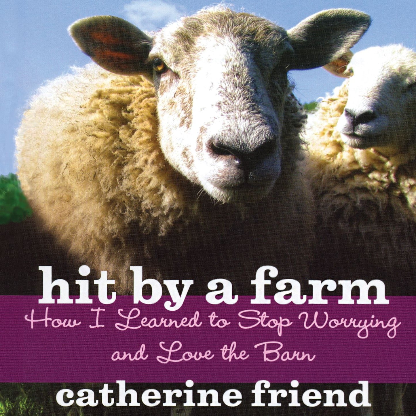 Hit by a Farm: How I Learned To Stop Worrying And Love The Barn