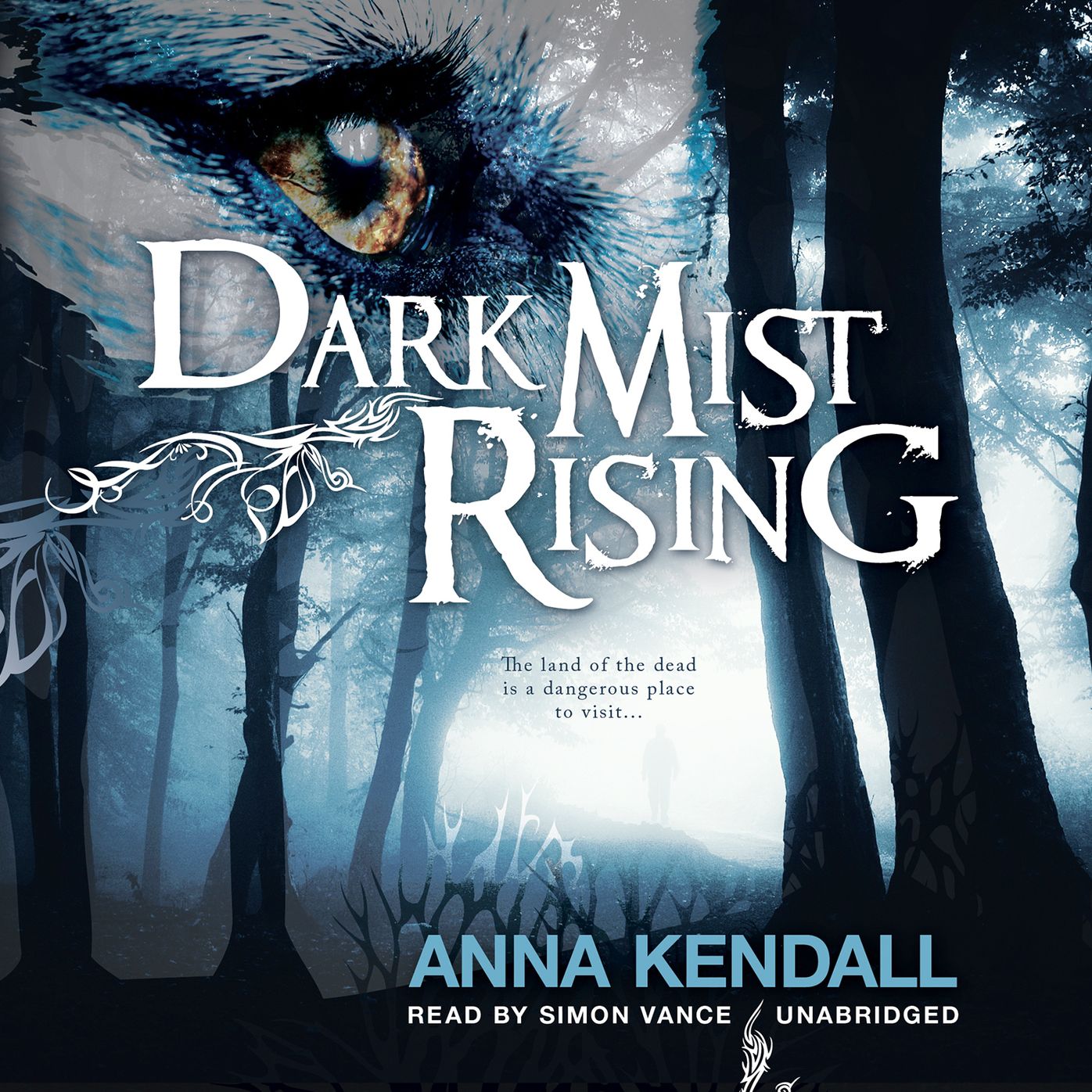 Dark Mist Rising: The Land of the Dead is a Dangerous Place to Visit...